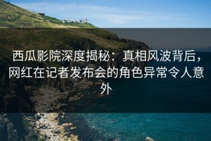 西瓜影院深度揭秘：真相风波背后，网红在记者发布会的角色异常令人意外