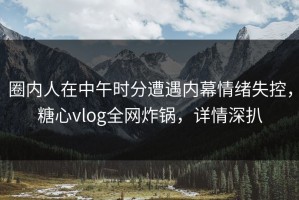 圈内人在中午时分遭遇内幕情绪失控，糖心vlog全网炸锅，详情深扒