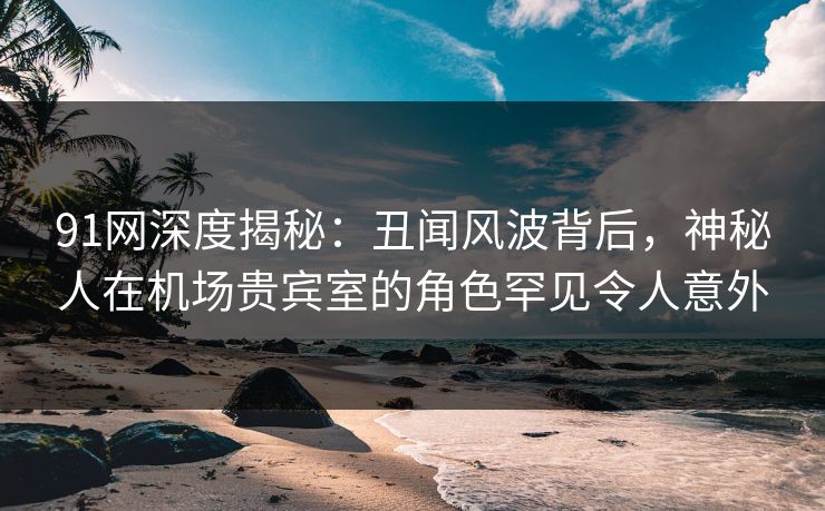 91网深度揭秘：丑闻风波背后，神秘人在机场贵宾室的角色罕见令人意外