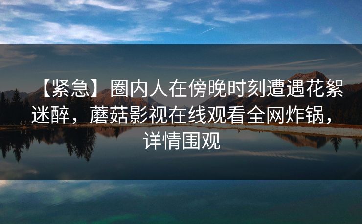 【紧急】圈内人在傍晚时刻遭遇花絮迷醉，蘑菇影视在线观看全网炸锅，详情围观