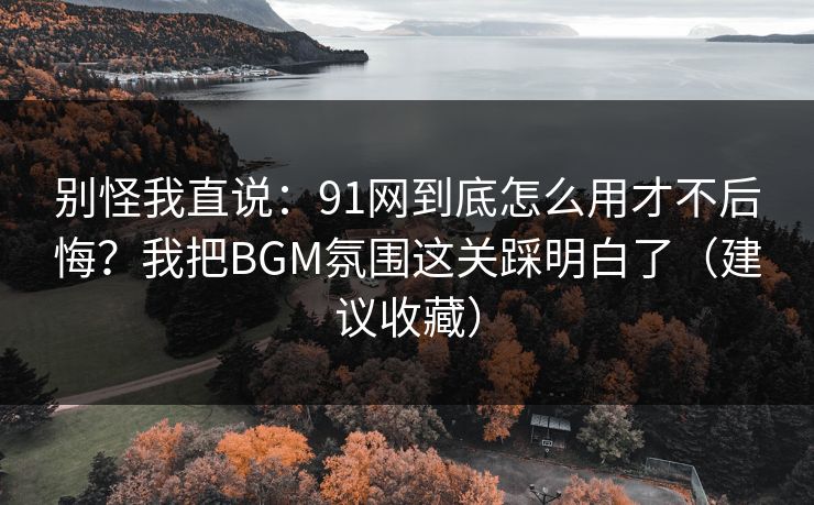 别怪我直说：91网到底怎么用才不后悔？我把BGM氛围这关踩明白了（建议收藏）