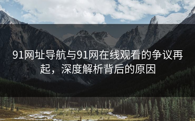 91网址导航与91网在线观看的争议再起，深度解析背后的原因
